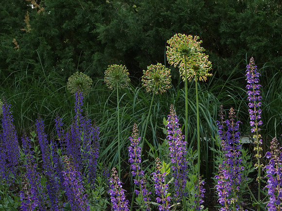 Design by Ashley Iannuccilli Traverse Landscape Design