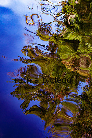 Fine art by Ruth A. B. Clegg, exploring water, reflection, light, and depth through intuitive visual storytelling.