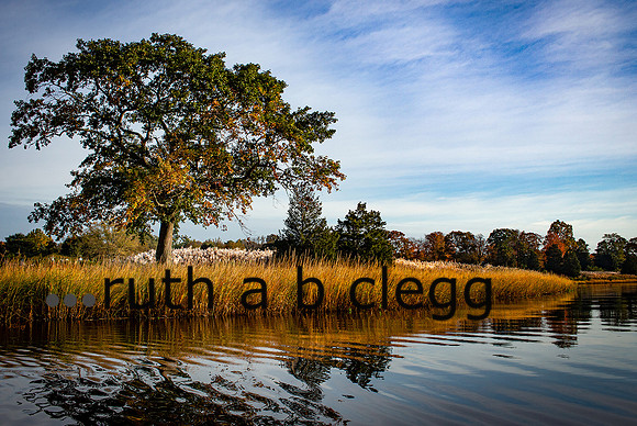 Fine art by Ruth A. B. Clegg, exploring water, reflection, light, and depth through intuitive visual storytelling.