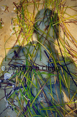 Abstract fine art by Ruth A. B. Clegg, focused on simplicity, contrast, and sensory response.