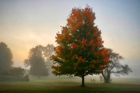 Fine art by Ruth A. B. Clegg exploring transition, light change, and landscape presence for perceptual support.
