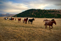 Fine art by Ruth A. B. Clegg with leading lines through landscape, composed for visual orientation and focus.
