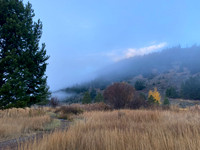 Fine art by Ruth A. B. Clegg of a misty path scene, exploring texture, depth, and atmospheric presence.
