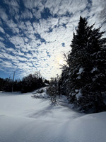 Fine art by Ruth A. B. Clegg of untouched landscape, focusing on natural presence, texture, and visual stillness.