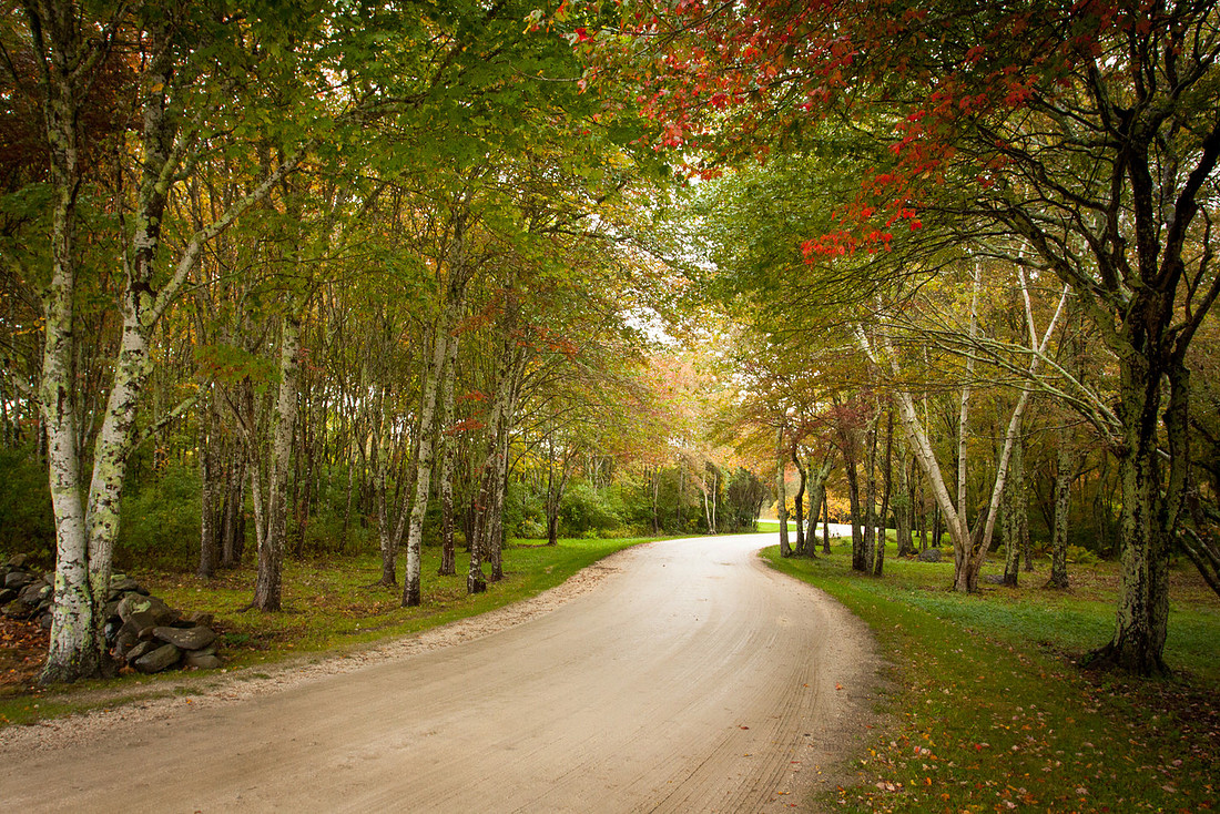 The Leadership Path
