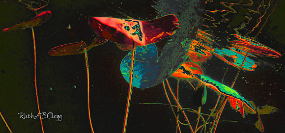 30x14_Hanging Out II_800