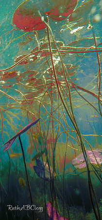 14x30_Tropical Dance_800