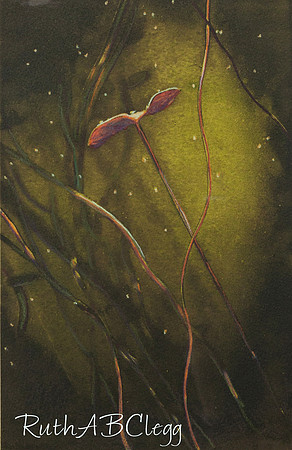 17x22__Towards the Light II_ polymer intaglio_450