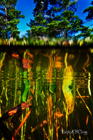 20 x 30_Waterworld_900