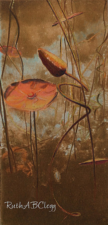 14x20_Down Under II_Polymer Intaglio_400