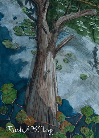 21x16_Fallen Tree_Watercolor_450
