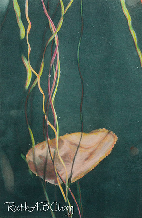 17x22_Intertwined_Polymer Intaglio_450