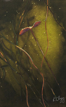 Towards the Light II  450.00 Handcolored Polymer Intaglio