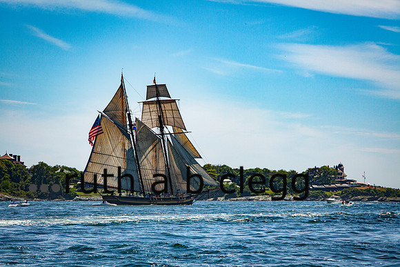 IMG_0237Newport