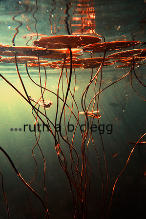 Abstract fine art by Ruth A. B. Clegg, focused on simplicity, contrast, and sensory response.