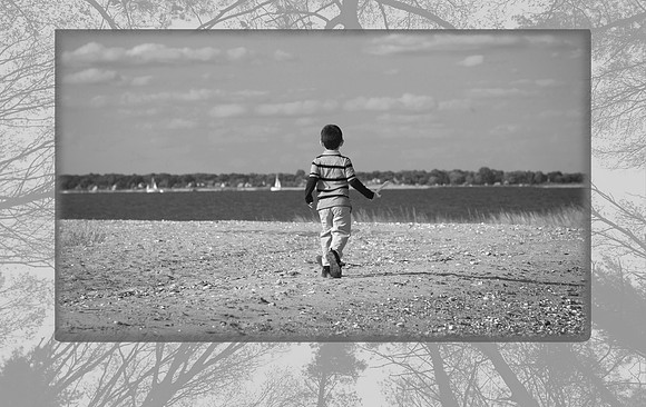 Home Page late springbw_2
