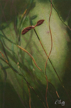Towards the Light 450.00 Handcolored Polymer Intaglio