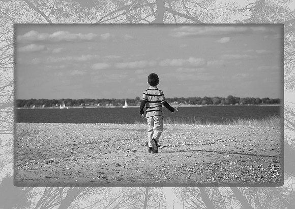 Home Page late springbw