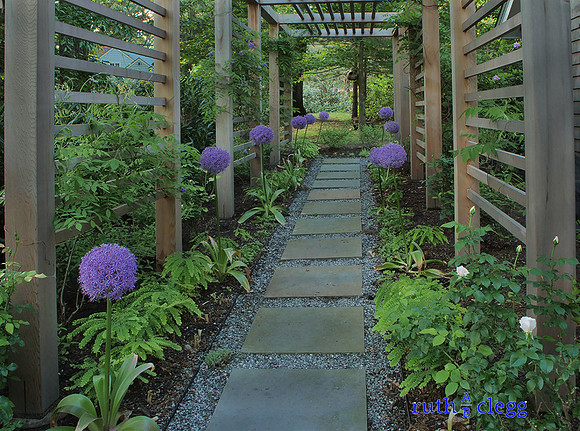 Design by Ashley Ianuccilli